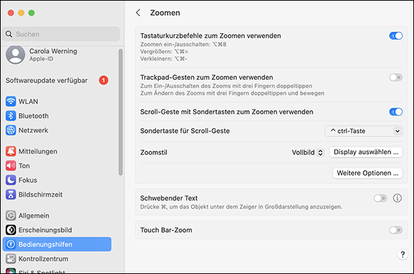 Abbildung der Funktion, wie man den Zoom bei Apple Geräten aktiviert